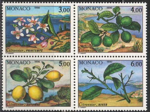 1990-1993 Flora