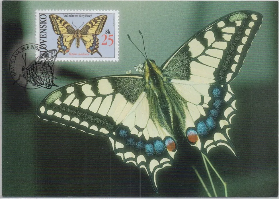CM 043-045