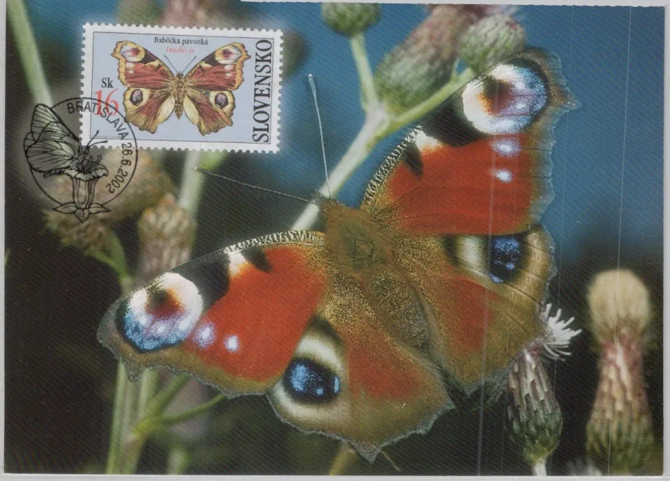 CM 043-045