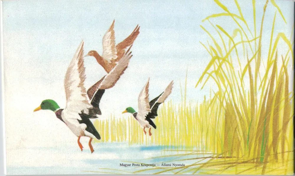 3972-3974A ZZ ** Vtáky