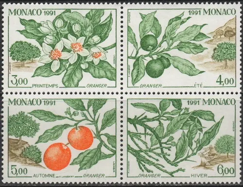 2031-2034 Flora