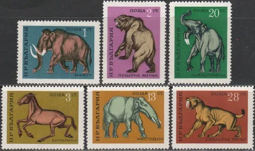 2088-2093 Fauna