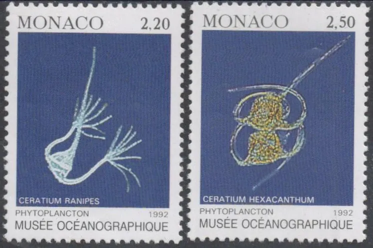 2095-2096