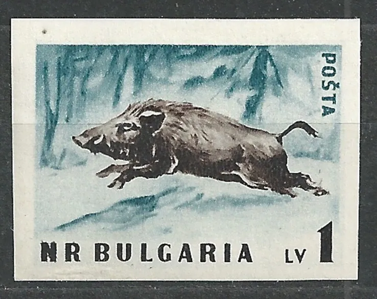 1063B N. FAUNA