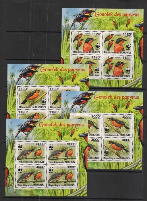 2126-2129 A Fauna