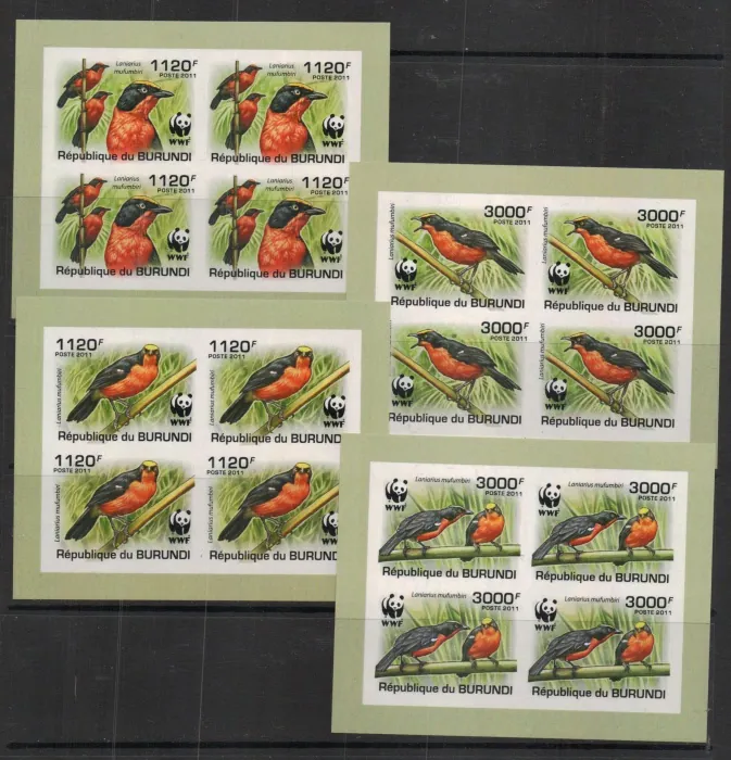 2126-2129 B Fauna