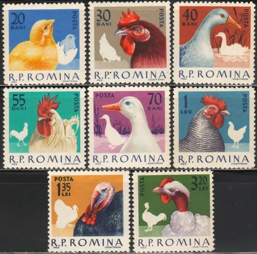 2145-2152 Vtáky