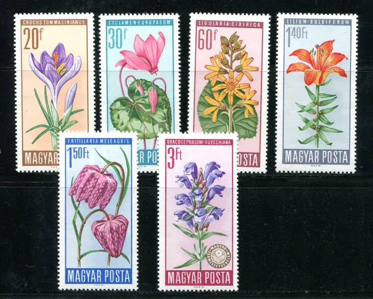 2212-2217 ** Flora