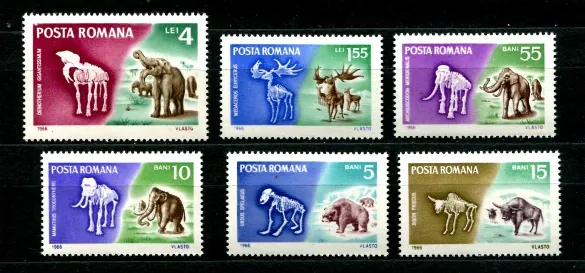 2553-2558 Fauna