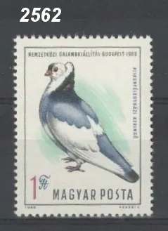 2562 ** vtáky