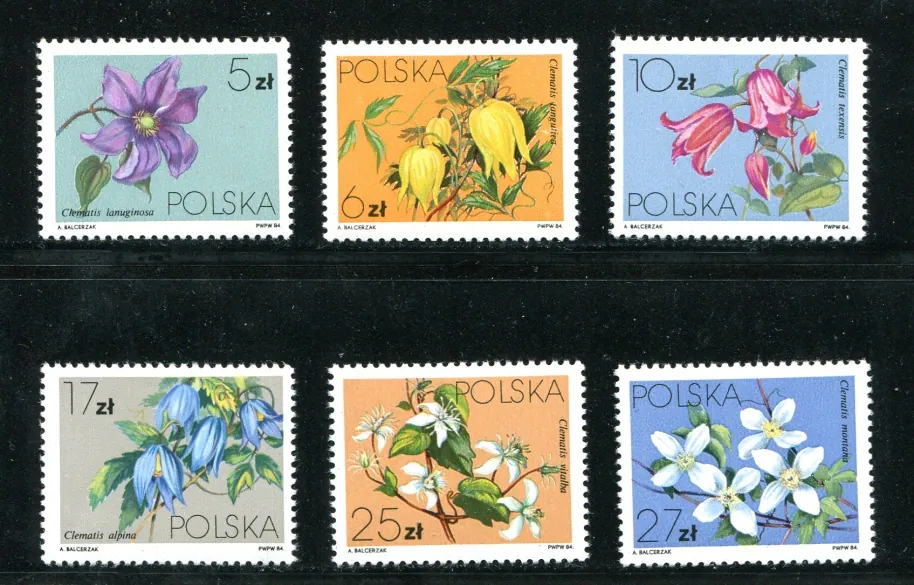 2906-2911 Kvety