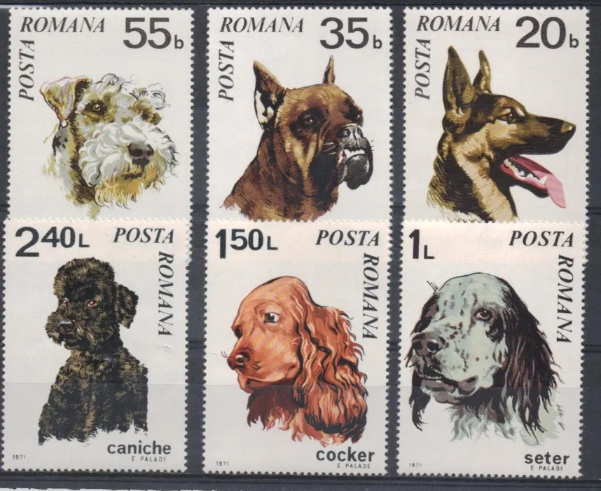 2908-2913