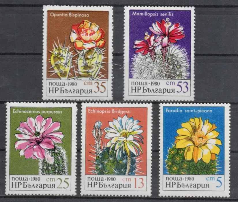 2946-2950 Flora