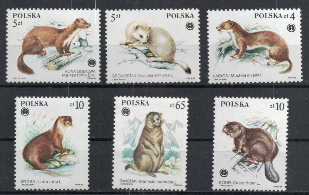 2946-2951 Fauna