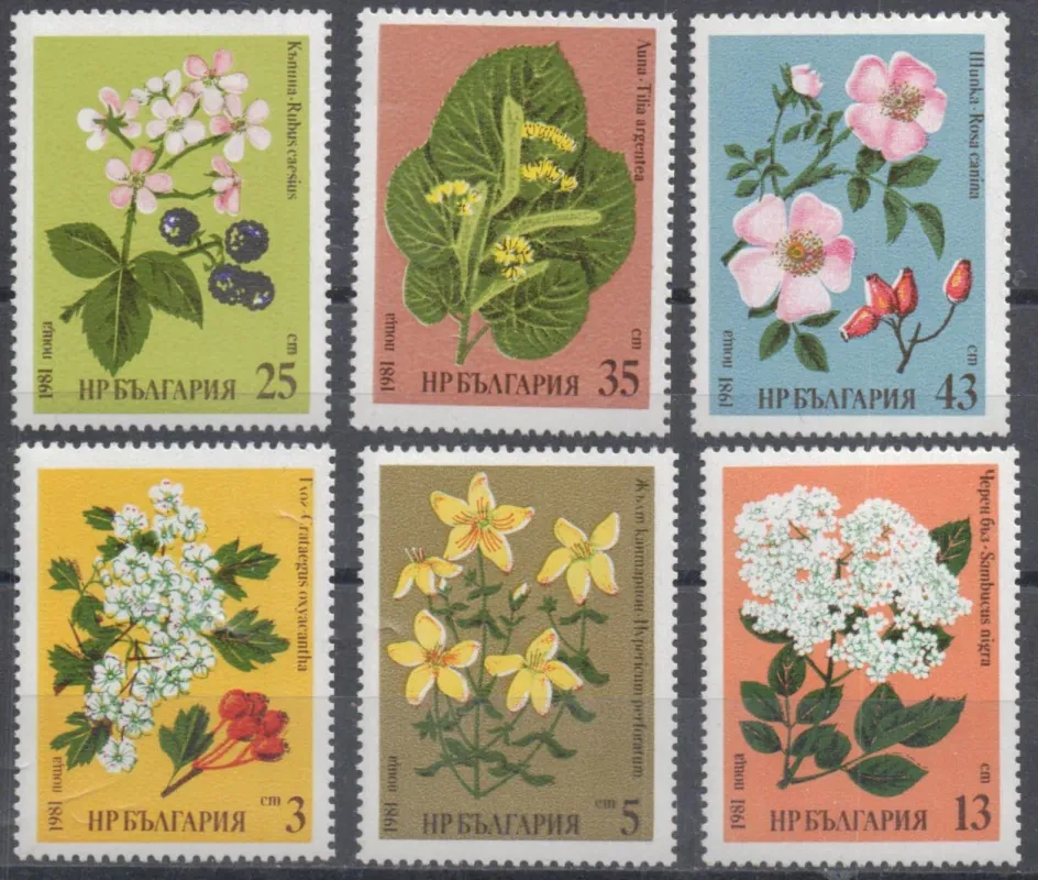 2963-2968 Flora