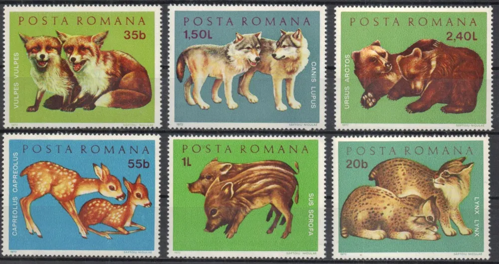 3005-3010 Fauna