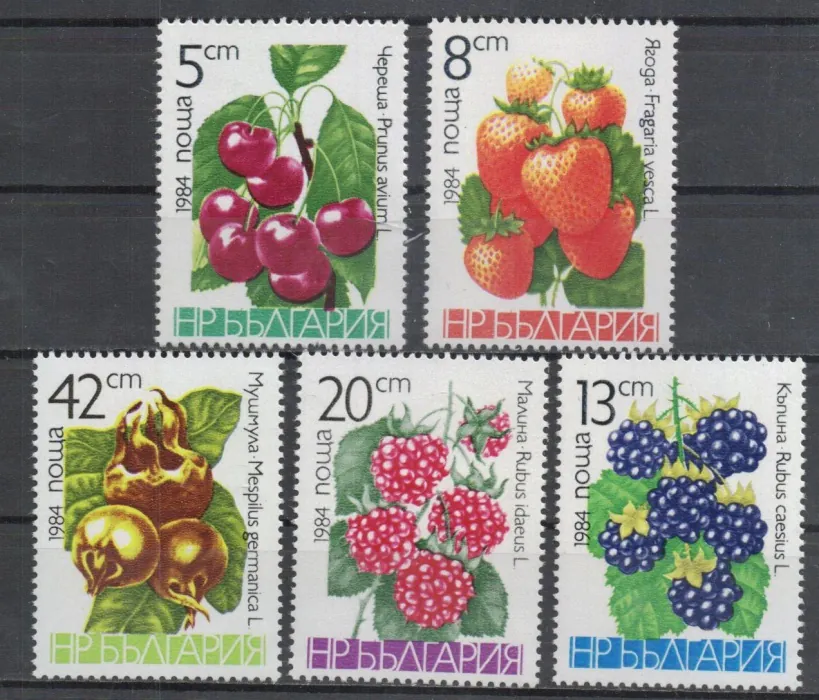 3260-3264 Flora