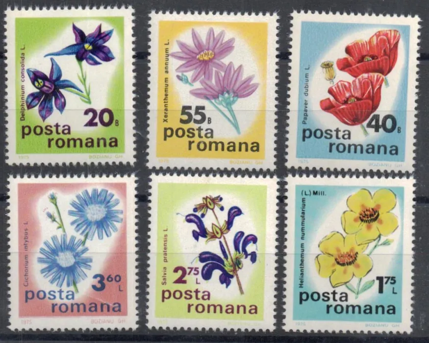 3285-3290 Flóra