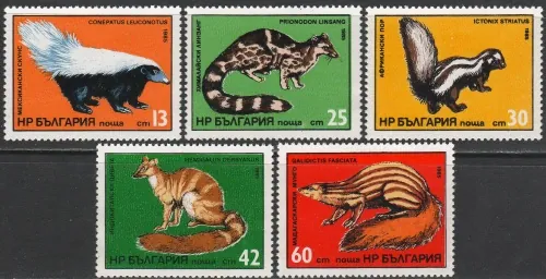 3333-3337 Fauna
