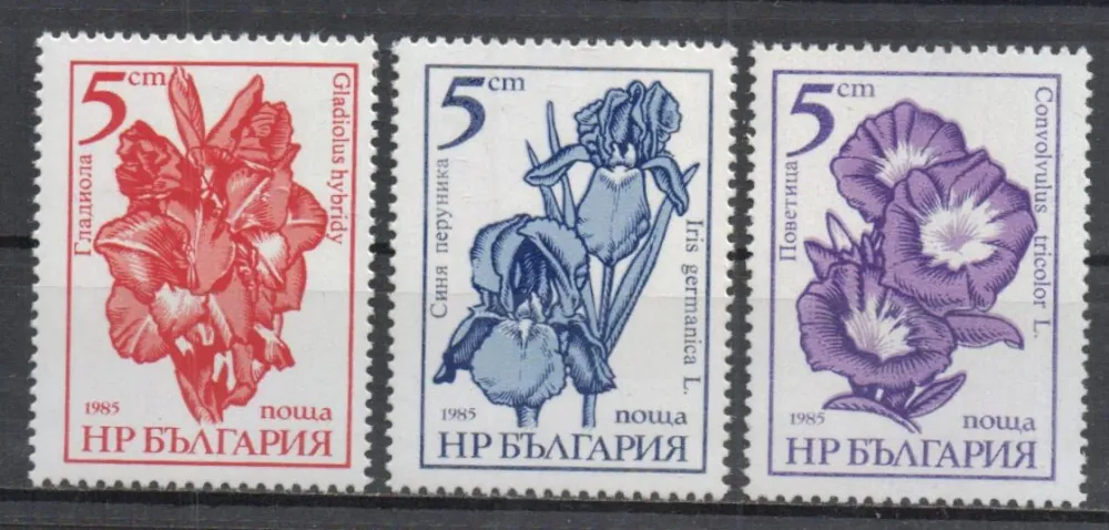 3405-3407 A Flora