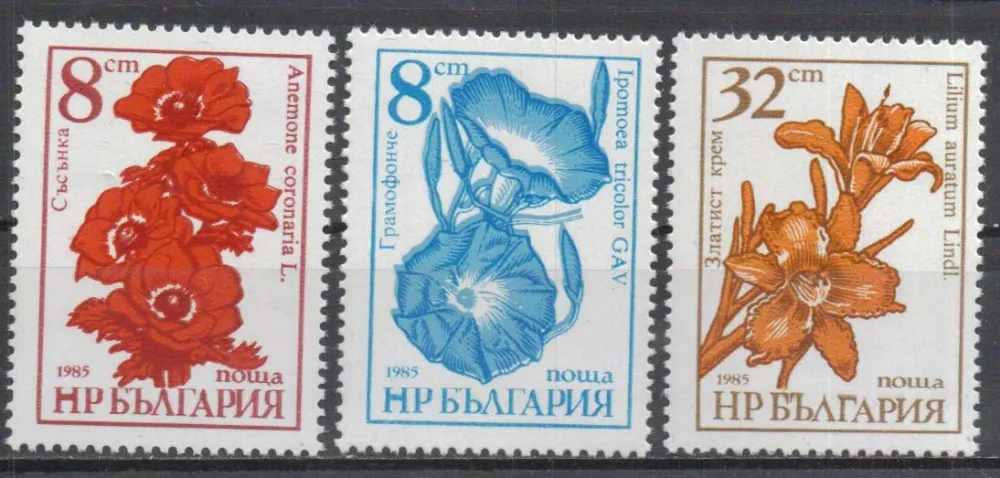 3489-3491 Flora