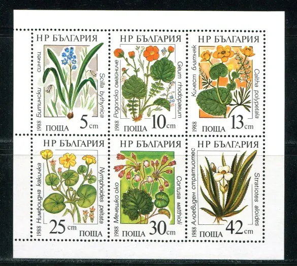 3628-3633 KB Kvety