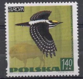 3763 Vtáky