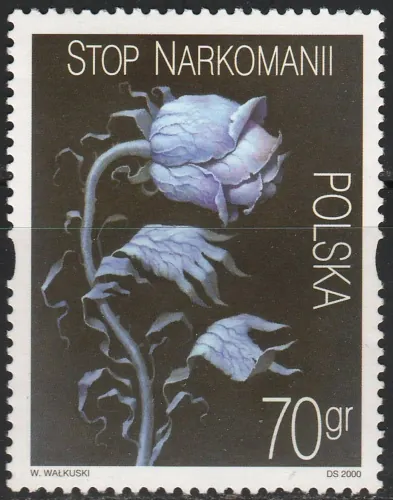 3828 Flora