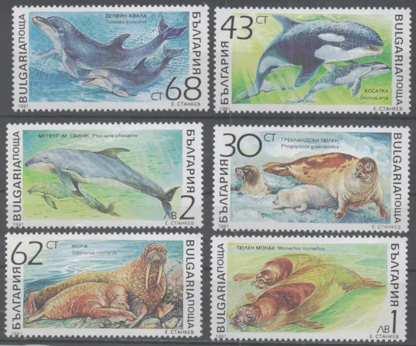 3959-3964 Fauna