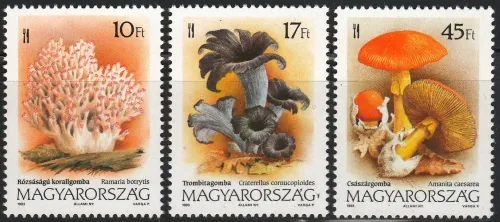 4247-4249 ** Hríby