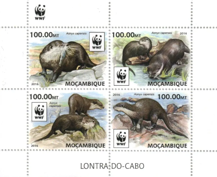 8884-8887 Fauna