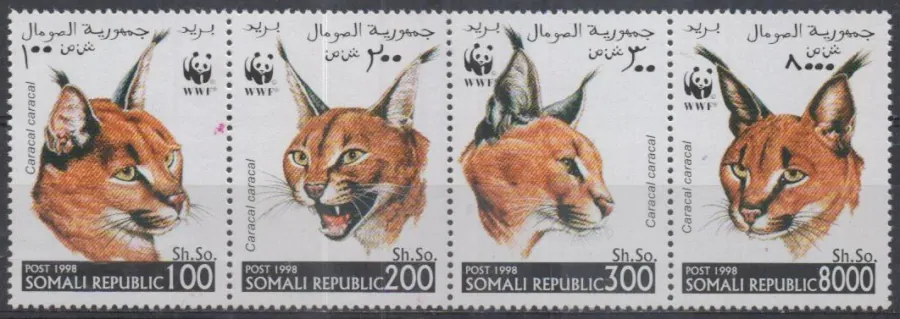 FAUNA