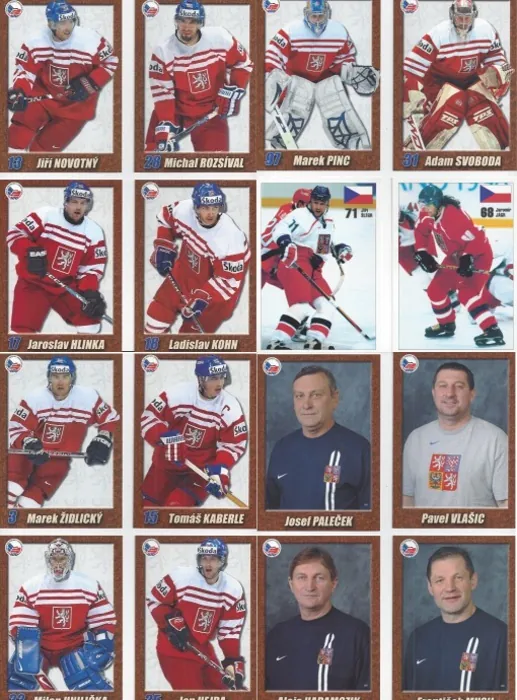 CZECH ICE HOCKEY ASSOCIATION